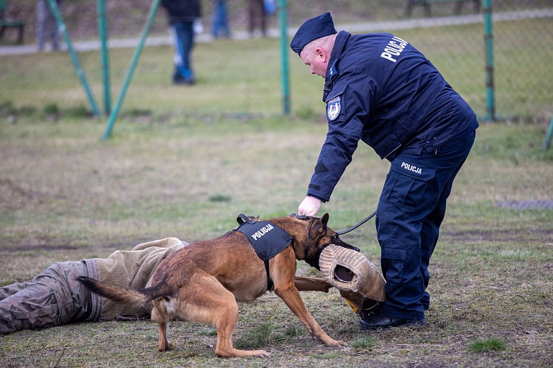 Nowe samochody dla policjantów z psami