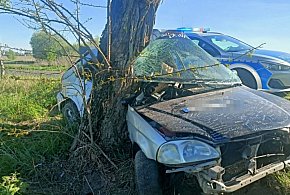 Cudem uniknął śmierci! 19-latek uderzył w drzewo, a potem dostał mandat!-6559