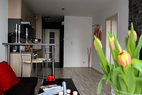 Rewolucja w wynajmie na doby. Nadchodzi koniec "wolnej amerykanki"-7833