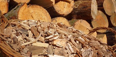 Biomasa jako paliwo przemysłowe - przewodnik po kotłach, zrębkach i opłacalności
