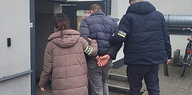 Dwaj bracia trafili do aresztu, młodszy ukradł samochód, a starszy się włamywał