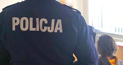 Sprawca podpaleń usłyszał zarzuty